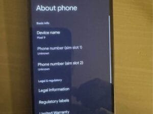Google Pixel 9 brand new, no box, never used