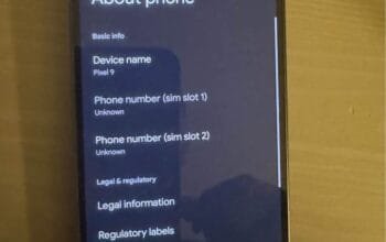 Google Pixel 9 brand new, no box, never used