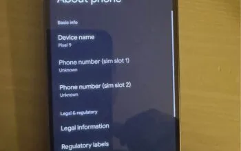 Google Pixel 9 brand new, no box, never used