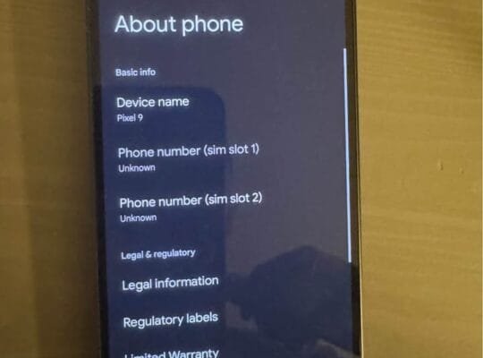 Google Pixel 9 brand new, no box, never used