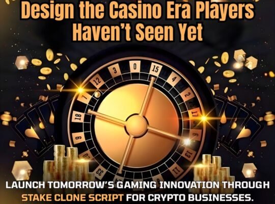 Live Your Casino Dream Instantly With Our Stake Clone Script