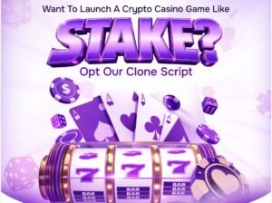 Visionary Entrepreneurs Tap into Web3 Gaming with Stake Clone Script Plans