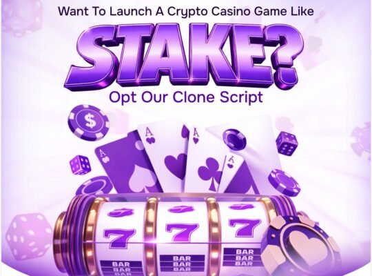 Visionary Entrepreneurs Tap into Web3 Gaming with Stake Clone Script Plans