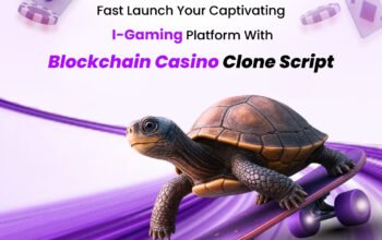 Capitalize on Crypto Trends with Our Ready Casino Game Clone Script