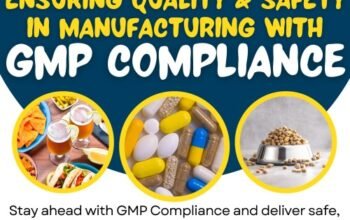 GMP Certification in Qatar