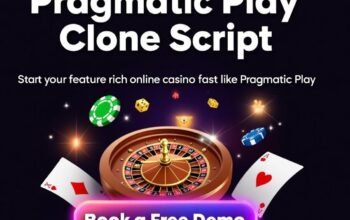 Empower Your Startup with a Powerful Pragmatic Play Clone Script Solution