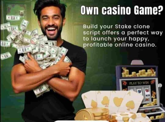 Ready-Made Stake Clone Script – Save Time & Development Cost